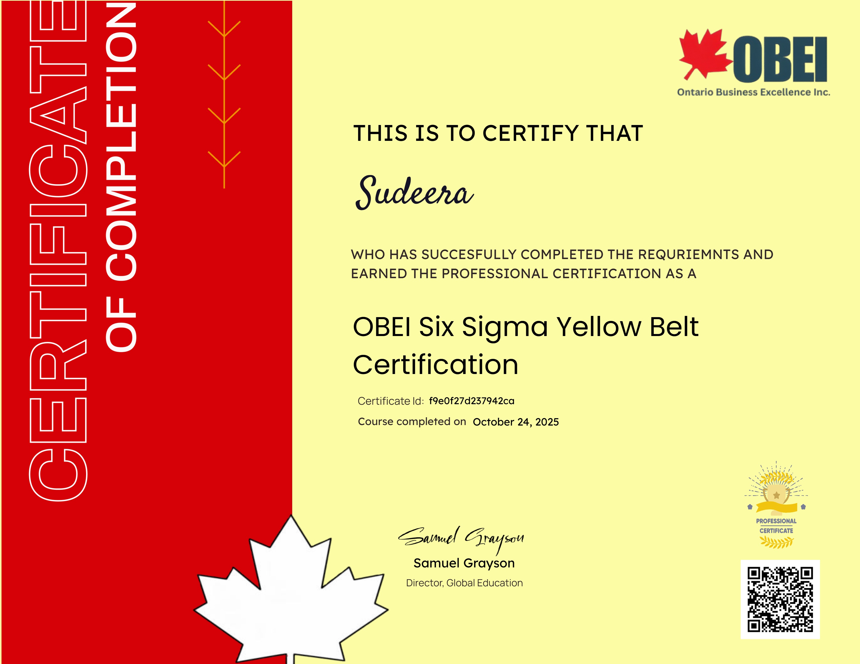 OBEI Six Sigma Yellow Belt Certification