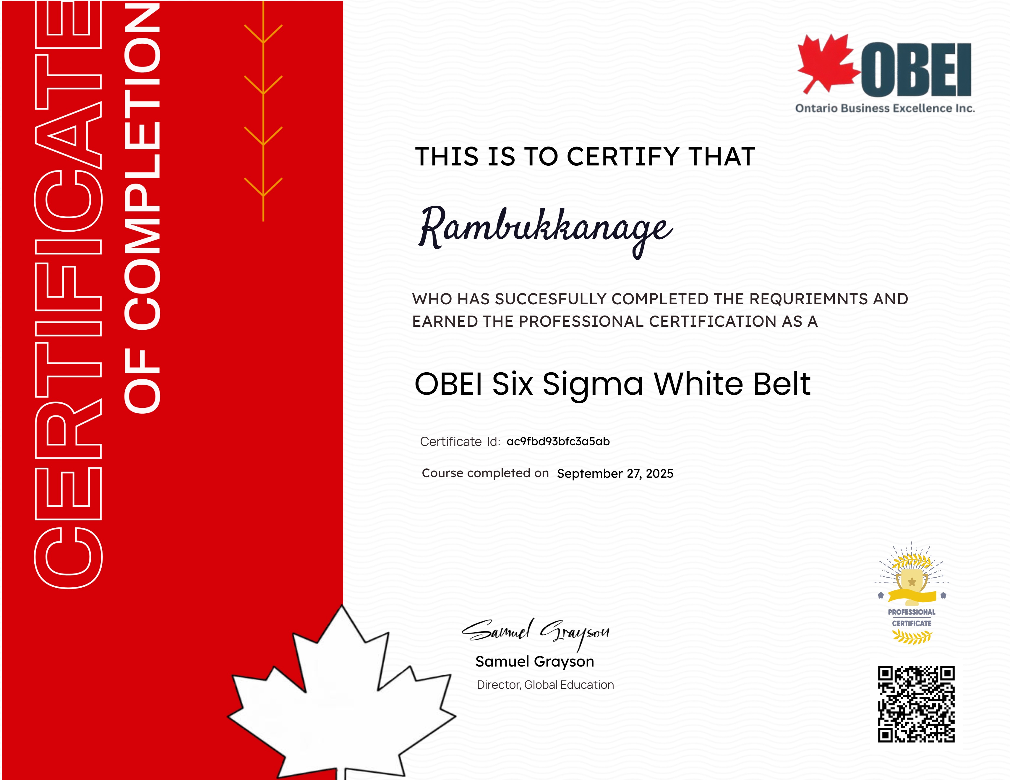 OBEI Six Sigma White Belt