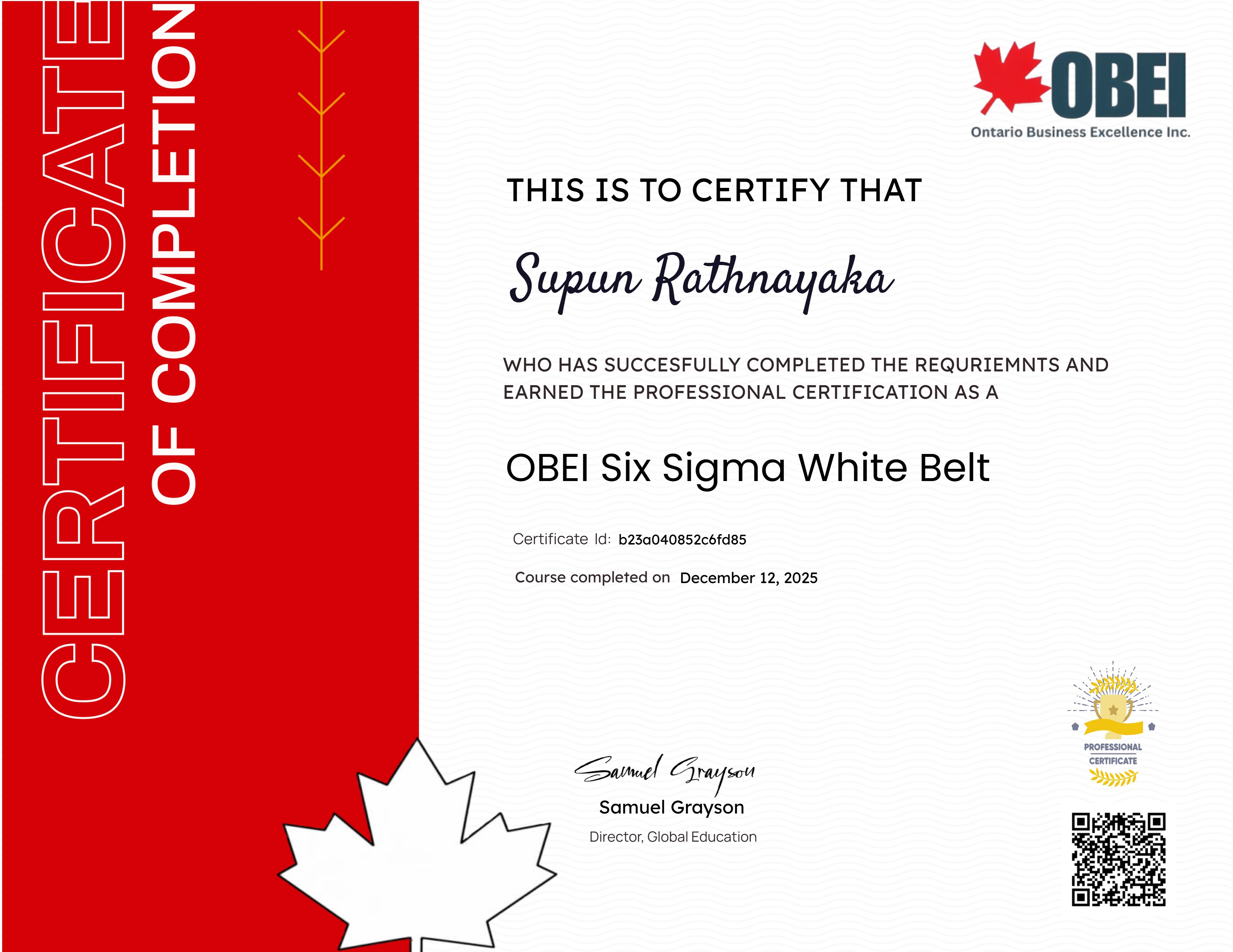 OBEI Six Sigma White Belt