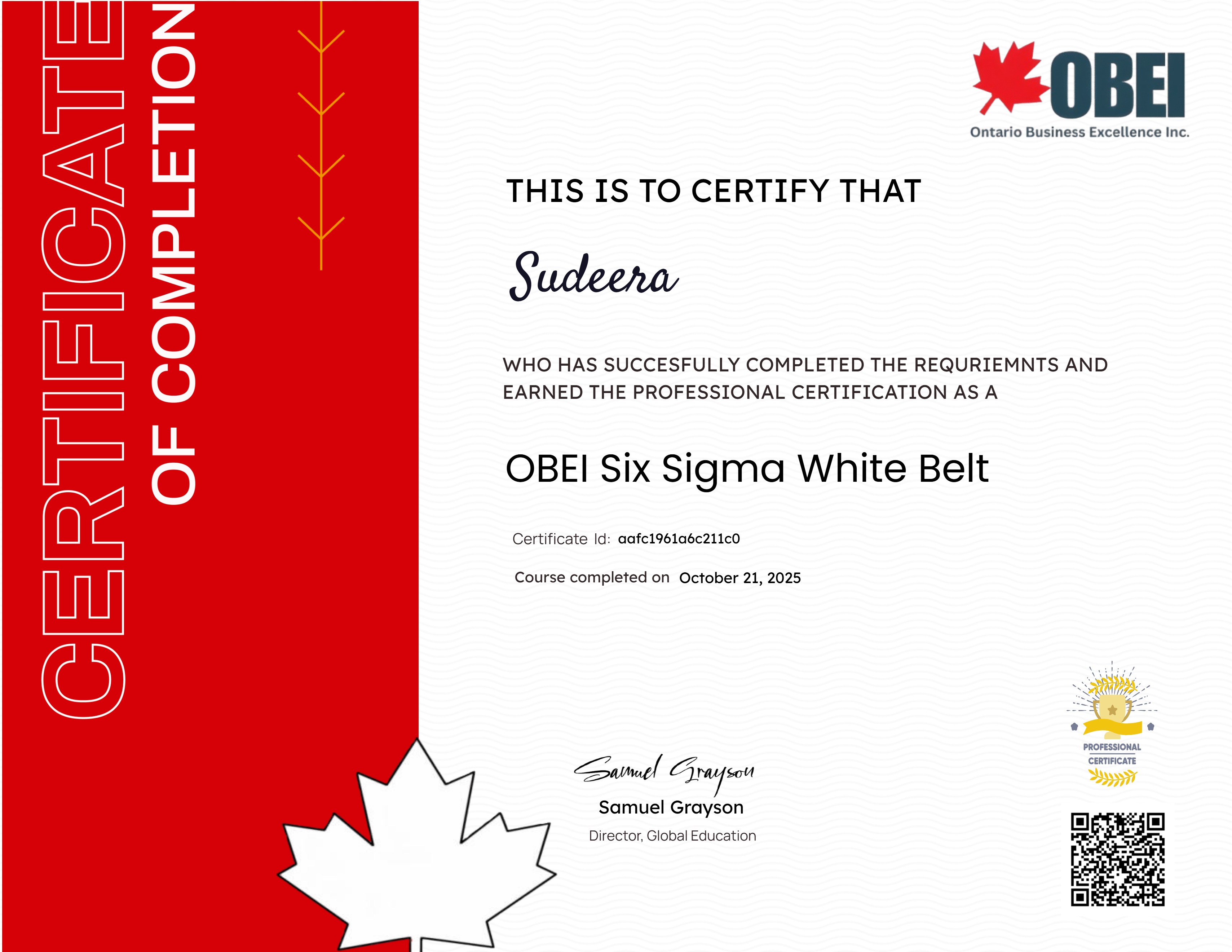 OBEI Six Sigma White Belt
