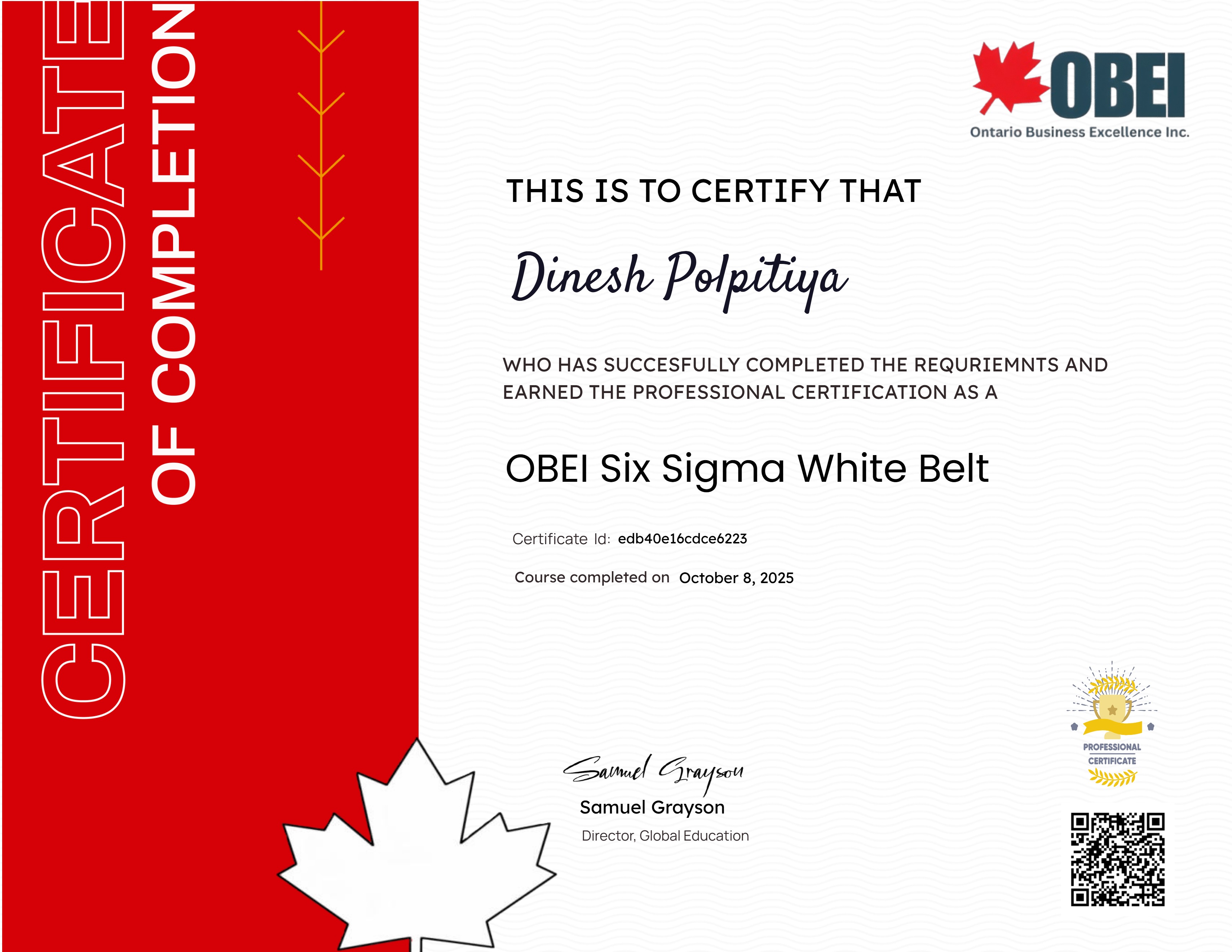 OBEI Six Sigma White Belt